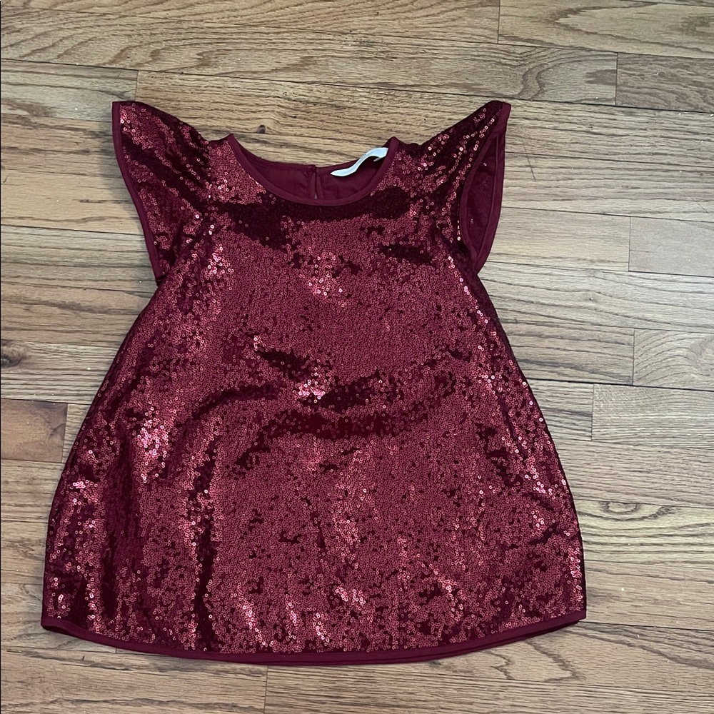 H&M Burgundy Sequin Dress